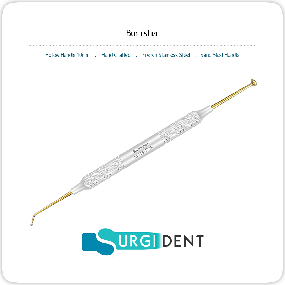 Egg Ball Burnisher Surgident USA